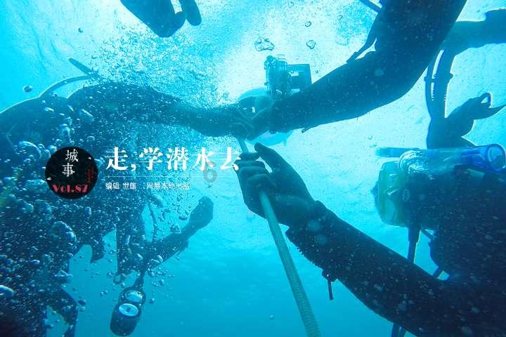 金刚鹦鹉逃生